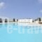 Villa Bellonia_accommodation_in_Villa_Cyclades Islands_Paros_Paros Chora