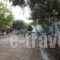 Peter'S Village_lowest prices_in_Hotel_Thessaly_Magnesia_Pilio Area