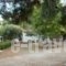 Peter'S Village_travel_packages_in_Thessaly_Magnesia_Pilio Area