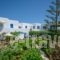 Agios Prokopios Hotel_best prices_in_Hotel_Cyclades Islands_Naxos_Agios Prokopios