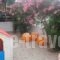 Cathrin Beach Apartments_travel_packages_in_Crete_Chania_Stavros