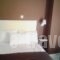 Hotel Adonis_best prices_in_Hotel_Central Greece_Attica_Athens
