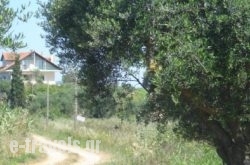 Villa Georgina B&B_s __1