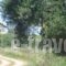 Villa Georgina B&B_accommodation_in_Villa_Peloponesse_Ilia_Pyrgos