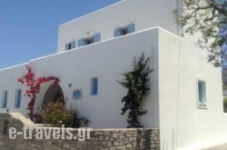 Rodia Studios_s __1