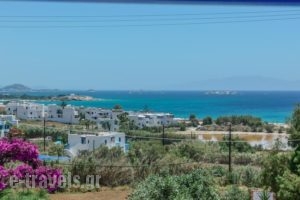 Studios Tasia_travel_packages_in_Cyclades Islands_Naxos_Naxos chora