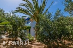 Golden Beach Studios in Paros Chora, Paros, Cyclades Islands