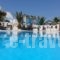 Pension Livadaros_best prices_in_Hotel_Cyclades Islands_Sandorini_Sandorini Chora