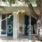 Aliki House_accommodation_in_Hotel_Ionian Islands_Corfu_Corfu Rest Areas