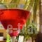 Kissamos Hotel_best prices_in_Hotel_Crete_Chania_Falasarna