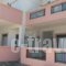 Studios Anastasia 1_travel_packages_in_Aegean Islands_Thassos_Thassos Chora