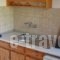 Studios Anastasia 1_lowest prices_in_Hotel_Aegean Islands_Thassos_Thassos Chora