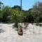 Studios Anastasia 1_best prices_in_Hotel_Aegean Islands_Thassos_Thassos Chora
