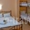 Studios Lampiris_holidays_in_Hotel_Aegean Islands_Thasos_Potos