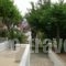 Studio Popi_lowest prices_in_Hotel_Aegean Islands_Samos_Marathokambos