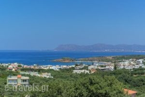 Villa Stefania_lowest prices_in_Villa_Crete_Chania_Galatas