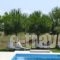 Petasos Apartments_lowest prices_in_Apartment_Dodekanessos Islands_Rhodes_Gennadi