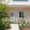 Golden Star Apartments_best prices_in_Apartment_Crete_Lasithi_Anatoli