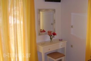 Vasso's Studios_lowest prices_in_Hotel_Ionian Islands_Lefkada_Vasiliki