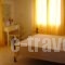 Vasso's Studios_best deals_Hotel_Ionian Islands_Lefkada_Vasiliki