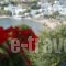 Voutsinou Apartments_travel_packages_in_Cyclades Islands_Syros_Syrosst Areas