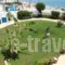 Antonios Apartments_accommodation_in_Apartment_Dodekanessos Islands_Rhodes_Stegna