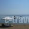 Bungalows Camping Kouyoni_accommodation_in_Hotel_Macedonia_Halkidiki_Poligyros