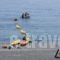 Calypso_best deals_Hotel_Crete_Chania_Sfakia