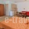 Elia Studios_lowest prices_in_Hotel_Aegean Islands_Thasos_Thasos Chora