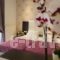 Villa Dorita_lowest prices_in_Villa_Epirus_Preveza_Parga