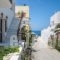Lygdamis Hotel_best prices_in_Hotel_Cyclades Islands_Naxos_Naxos Chora
