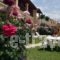 Eleni Apartments_best prices_in_Apartment_Ionian Islands_Corfu_Roda