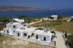 Mirabeli Studios_s __1