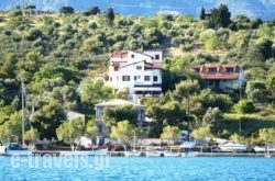 Drymna_s __1