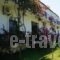 Villa Galini_best prices_in_Villa_Crete_Chania_Vryses Apokoronas