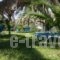 Villa Galini_lowest prices_in_Villa_Crete_Chania_Vryses Apokoronas