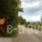 Aenaon Studios_travel_packages_in_Central Greece_Evia_Edipsos