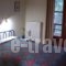 Paradise Studios_best deals_Hotel_Macedonia_Halkidiki_Chalkidiki Area