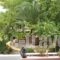 Paradise Studios_holidays_in_Hotel_Macedonia_Halkidiki_Chalkidiki Area