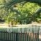 Paradise Studios_lowest prices_in_Hotel_Macedonia_Halkidiki_Chalkidiki Area