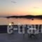 Hotel Irene_holidays_in_Hotel_Cyclades Islands_Paros_Paros Chora