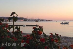 Studios Irene_holidays_in_Hotel_Cyclades Islands_Paros_Paros Chora