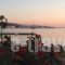 Studios Irene_holidays_in_Hotel_Cyclades Islands_Paros_Paros Chora