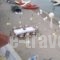Christina Hotel_best deals_Hotel_Ionian Islands_Corfu_Corfu Rest Areas