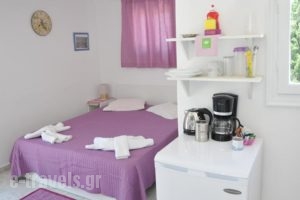 Pension Paros Anna Spanou_holidays_in_Hotel_Cyclades Islands_Paros_Paros Chora