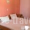Pansion Eleni_holidays_in_Hotel_Macedonia_Halkidiki_Ammouliani