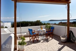 Flora & Agelos Studios_best prices_in_Hotel_Cyclades Islands_Antiparos_Antiparos Rest Areas