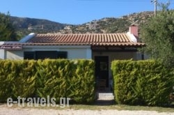 Eleios_s __1