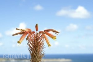 Anemi House_lowest prices_in_Hotel_Cyclades Islands_Sandorini_Sandorini Rest Areas