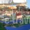 Ilona Apartments Chania_lowest prices_in_Apartment_Crete_Chania_Daratsos
